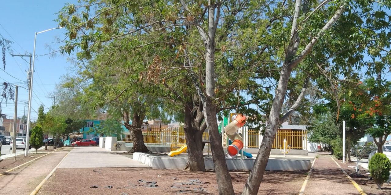 Dan mantenimiento al área recreativa San Sebastián