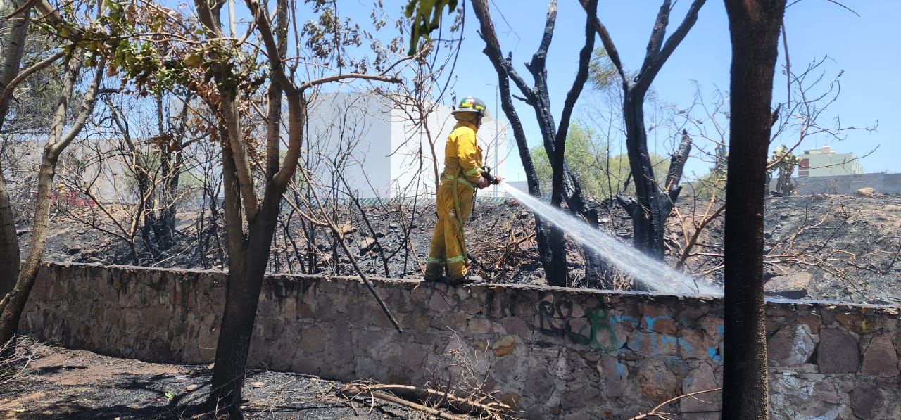 Calor y baja humedad provocan incendios: Protección Civil Estatal