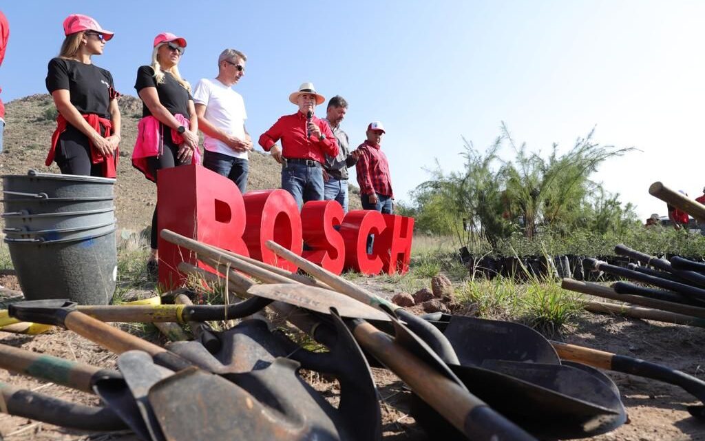 Junto a la empresa Bosch, el programa Pulmones Urbanos del Gobierno de la Capital reforesta la Sierra de San Miguelito