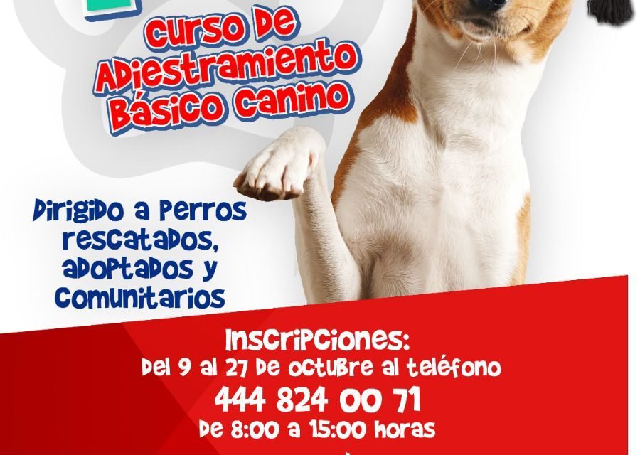 Gobierno de la Capital organiza la segunda edición del curso de adiestramiento canino EduCAN