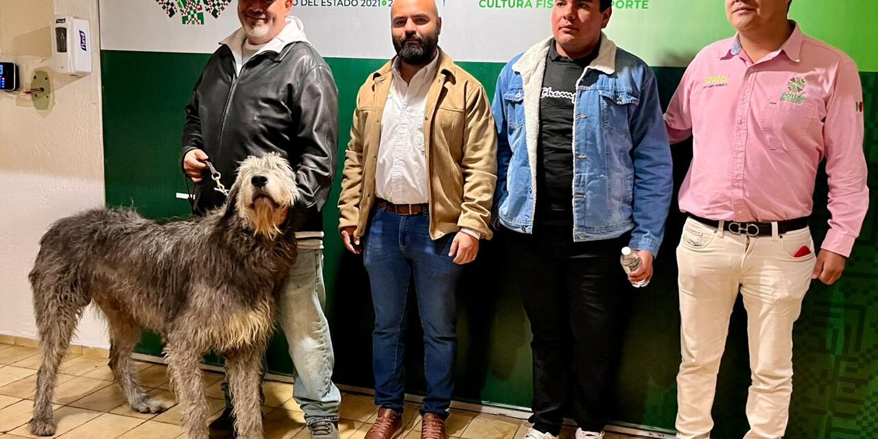 Gobierno invita a primer Festival Canino Navideño