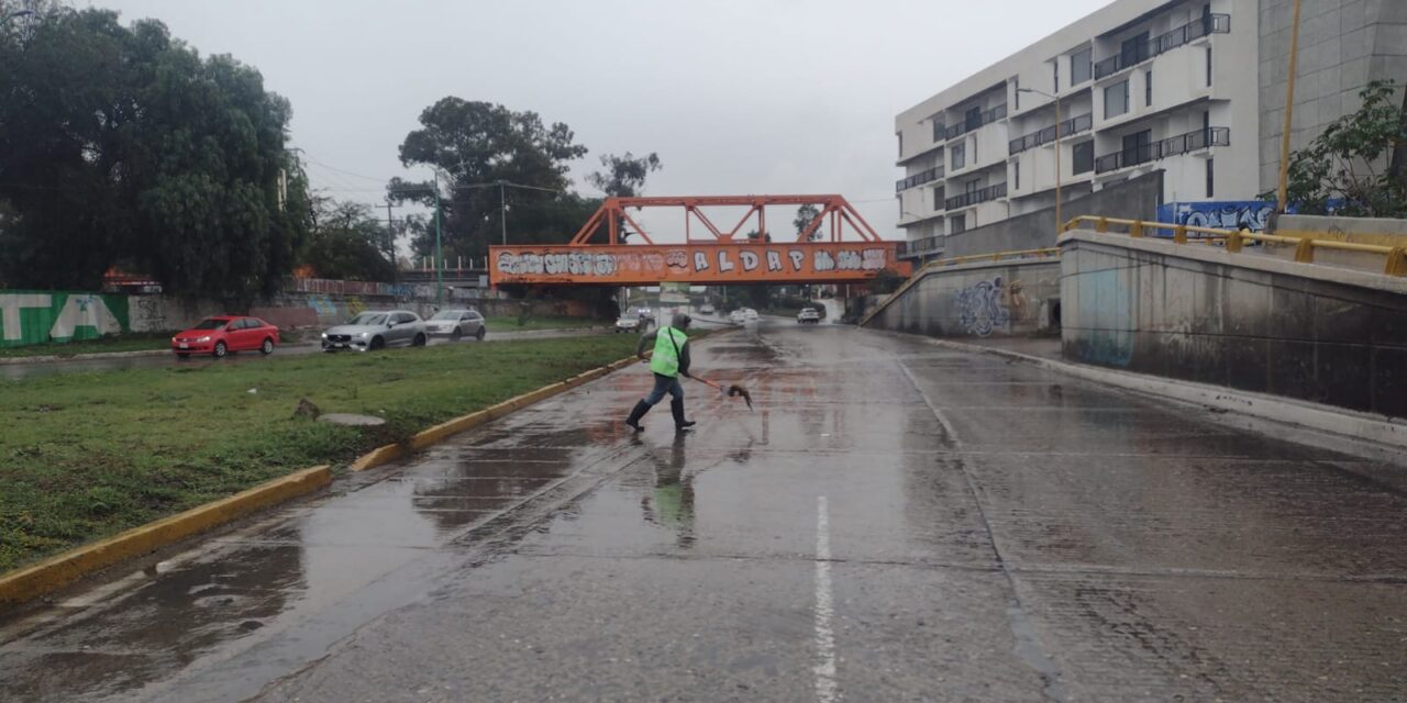 Gobierno fortalece limpieza en accesos a la zona metropolitana