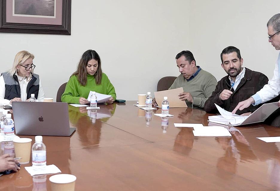 Los municipios deben cumplir en tiempo y forma con entrega de sus leyes de ingresos: Dip. Aranzazu Puente Bustindui