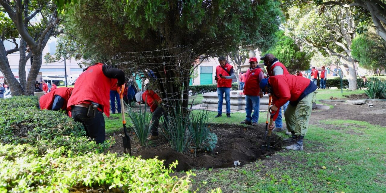 Acciones de reforestación y rescate de parques y jardines dan reconocimiento internacional a San Luis Capital