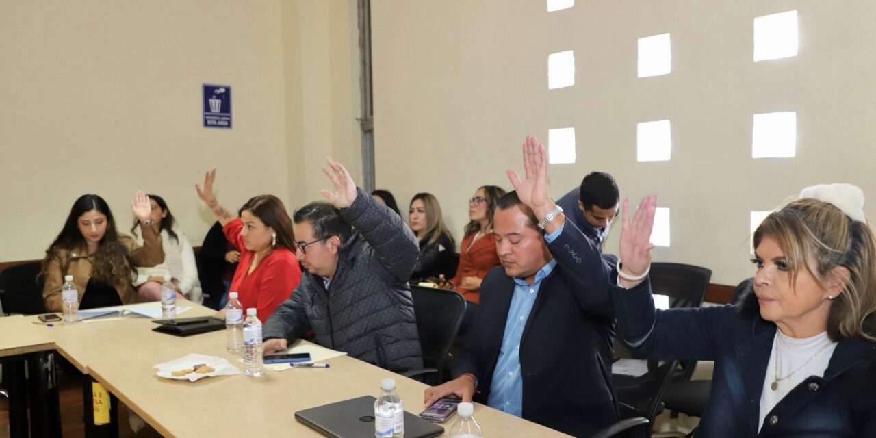 Intenso trabajo de Comisiones en el Cabildo de San Luis Capital