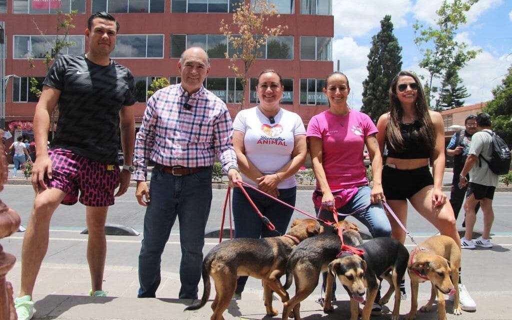 Continúan los registros para la “Carrera Perrona 2024”, a cargo del Gobierno de la Capital