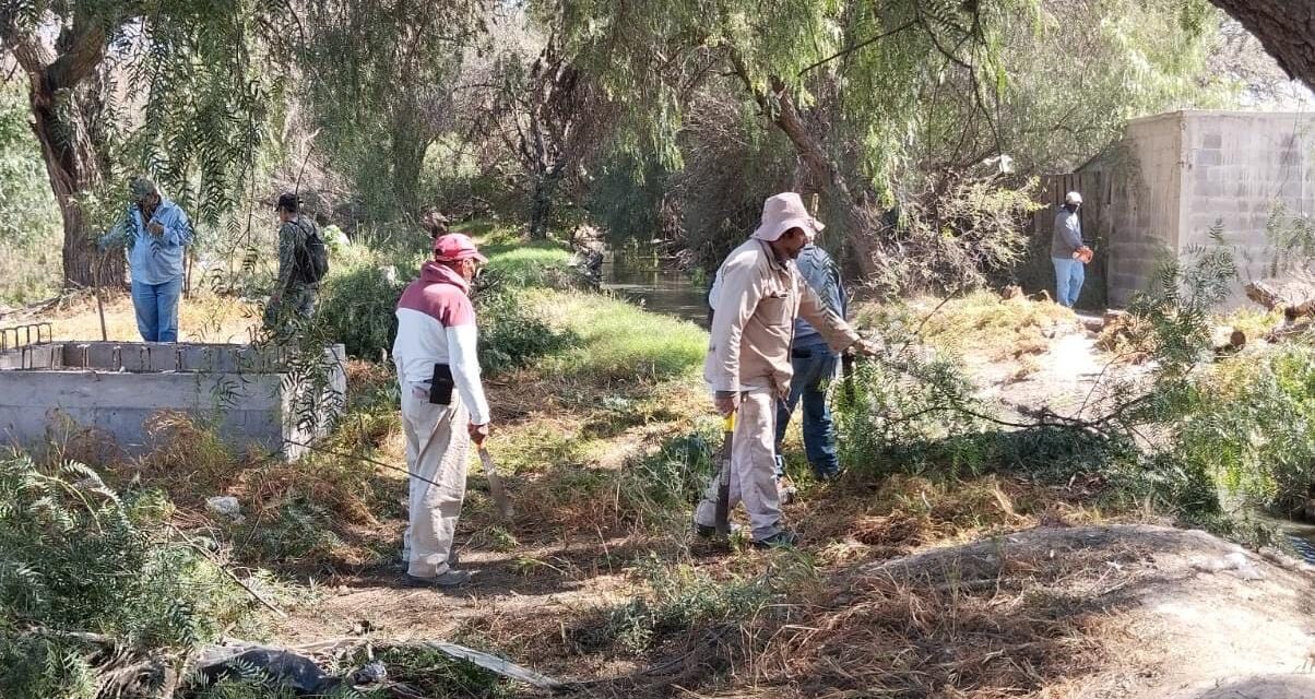 Ayuntamiento de Soledad limpia y elimina maleza de canal en localidad Las Capillas
