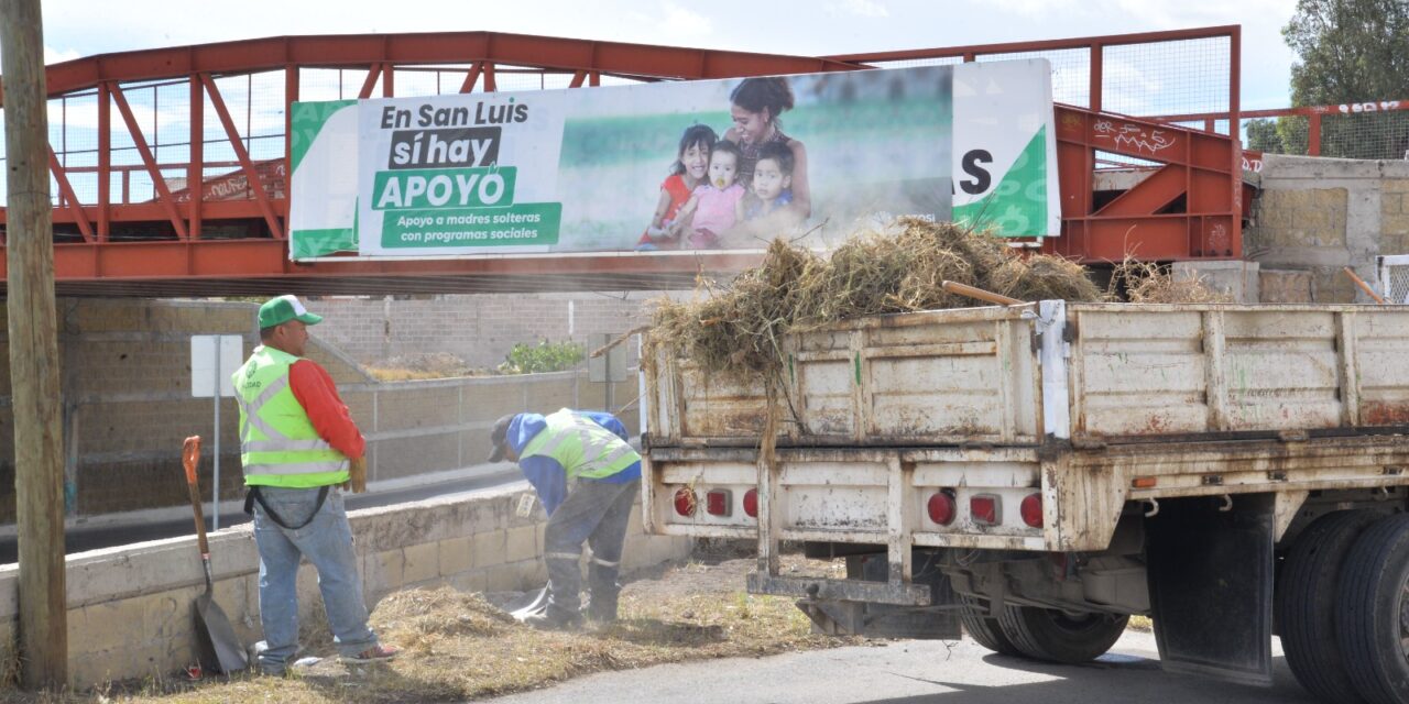 Ayuntamiento soledense realiza labores de limpieza en vías de acceso en Río Santiago
