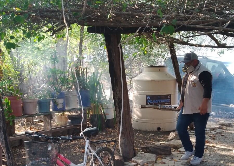 Fortalecen acciones contra el dengue
