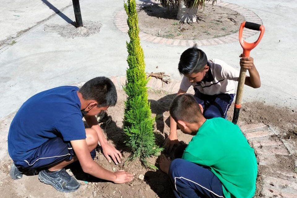 Ecología municipal de Soledad ofrece jornadas de reforestación en espacios comunes