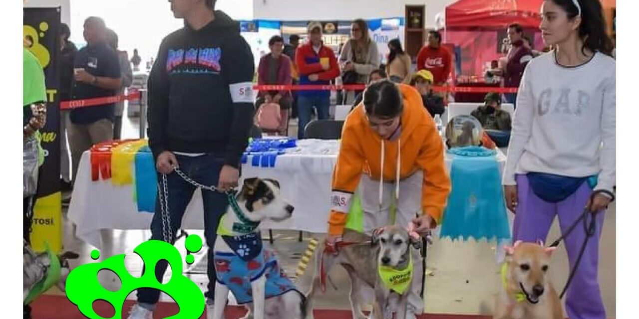 DOGFEST 2024 llega al Centro de Convenciones de SLP