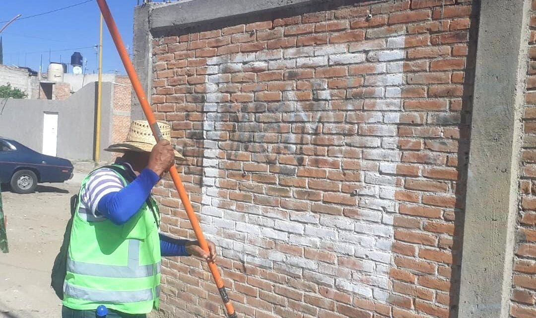 Soledad de GS fortalece acciones a favor del medio ambiente