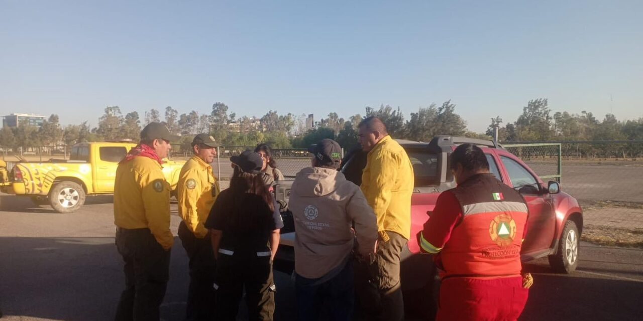 Combaten 250 brigadistas incendios forestales en SLP