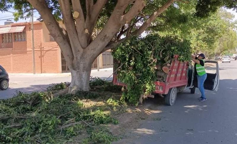 Áreas verdes y recreativas en Soledad reciben cuidado permanente y preventivo