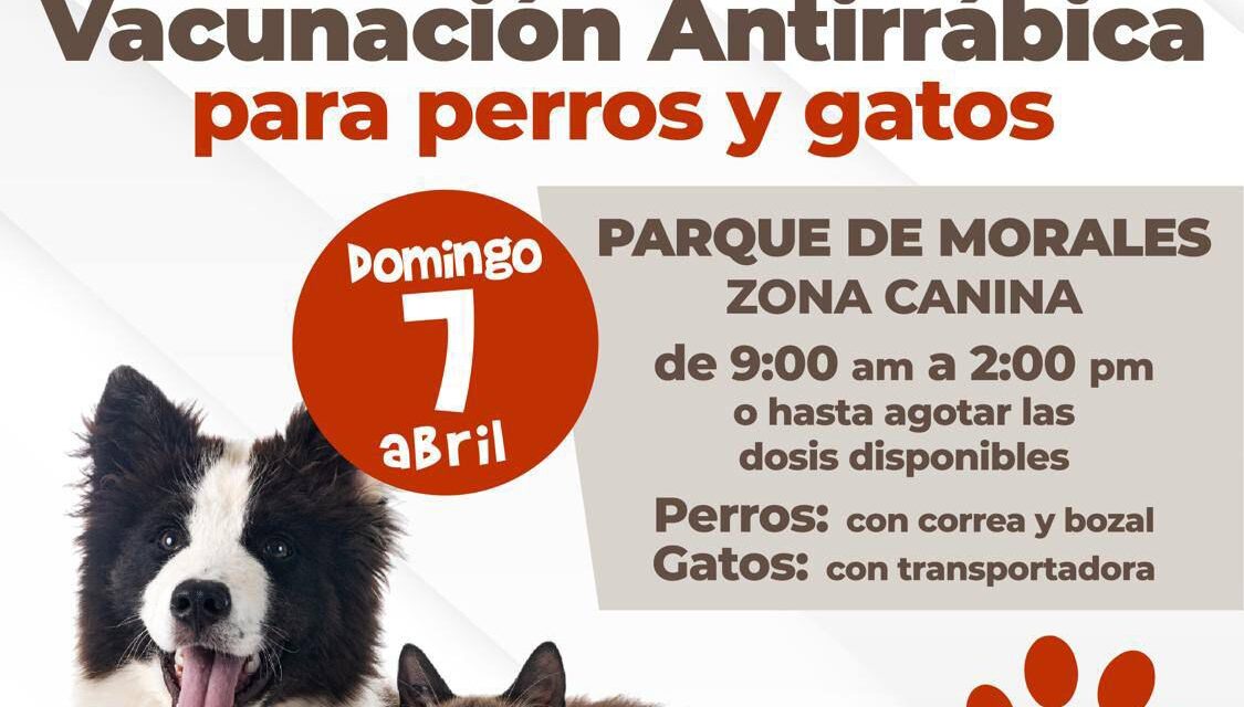 Ayuntamiento de SLP realizará vacunación antirrábica canina y felina