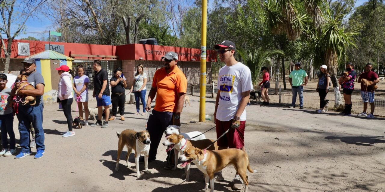 Ayuntamiento de SLP colabora con la salud pública en la Jornada Nacional de Vacunación Antirrábica