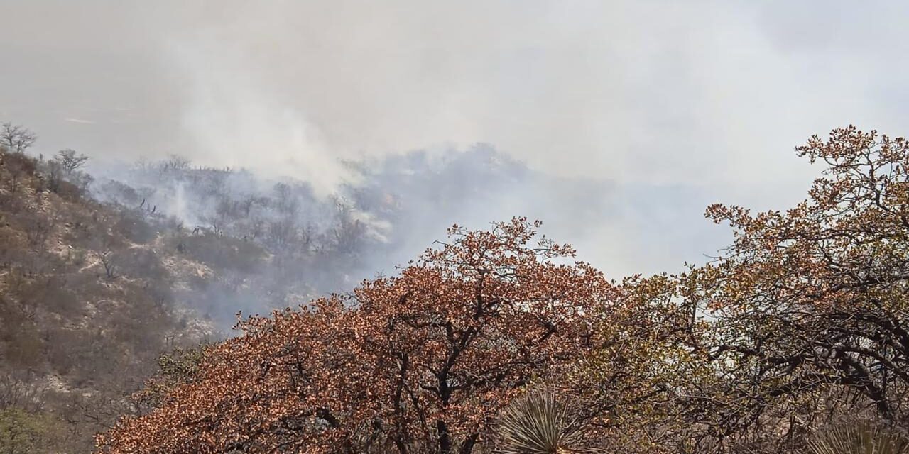 Continúan labores para contener el fuego en la Sierra de San Miguelito