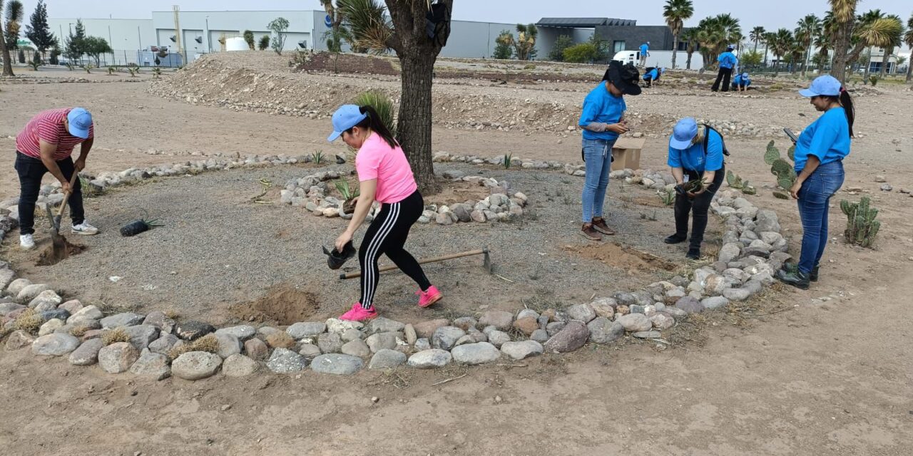 Impulsan reforestación de espacios públicos en Ciudad Satélite