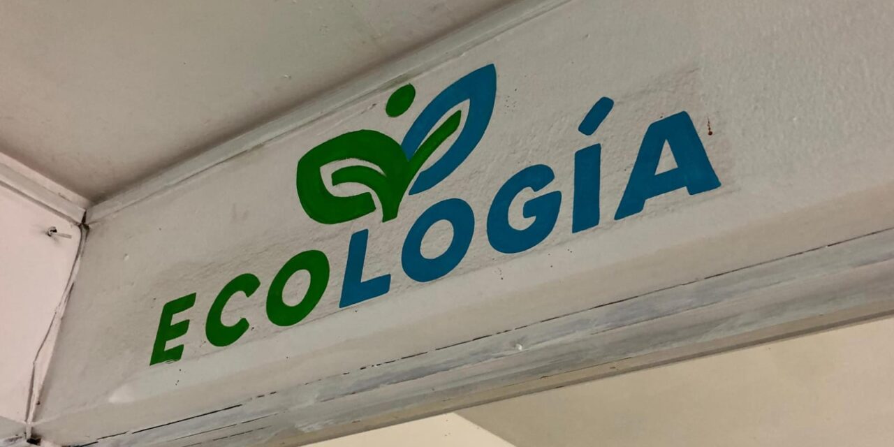 Ecología de Soledad invita a campaña de recolección de medicamentos caducos