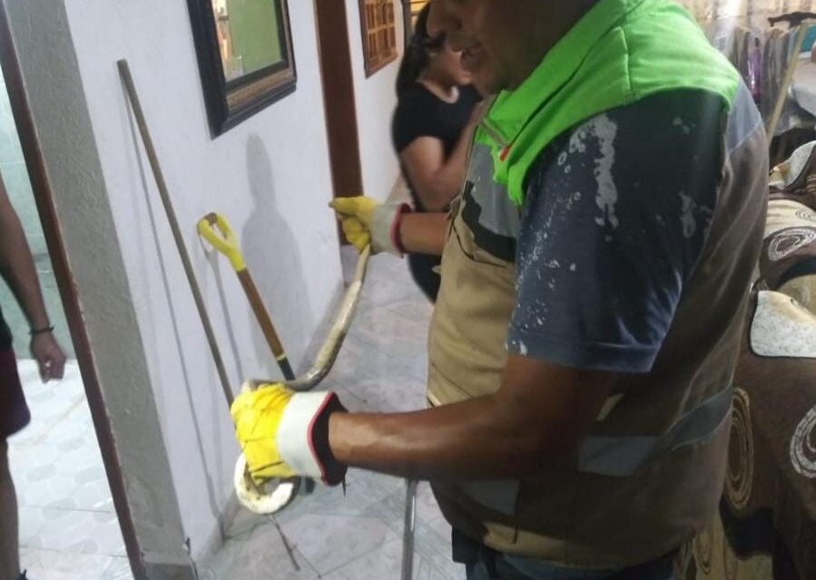 PC municipal de Soledad atiende reportes por presencia de fauna silvestre en zonas urbanas