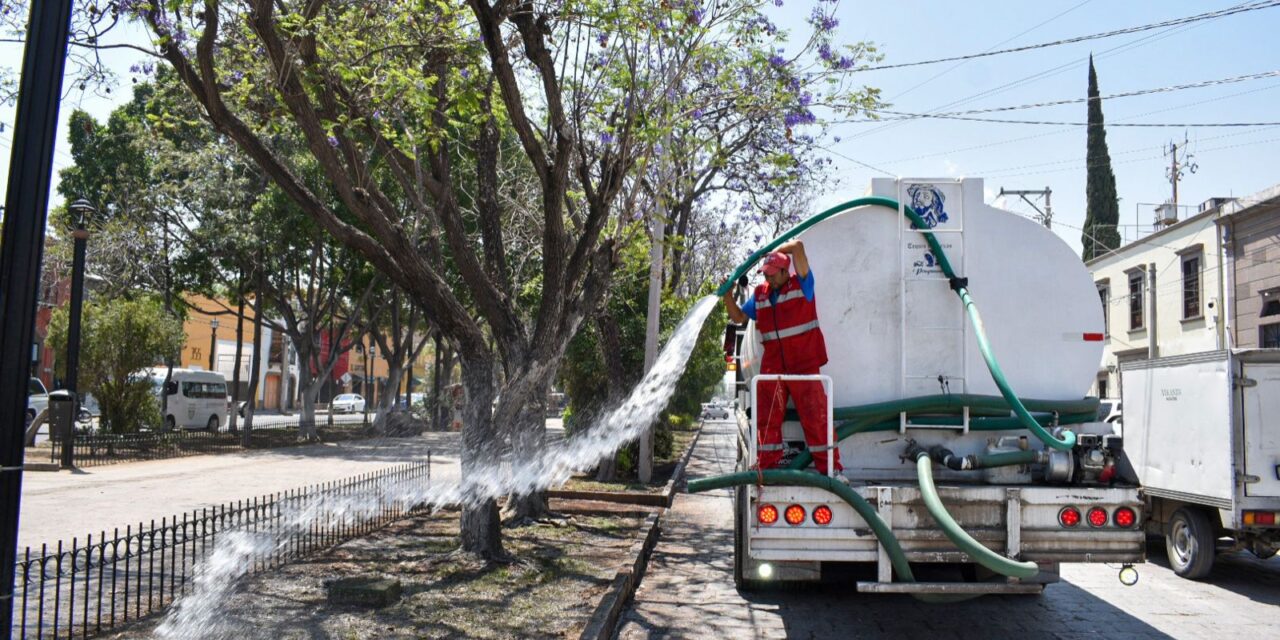 Mantienen servicios de riego de árboles y flores con agua tratada, no potable