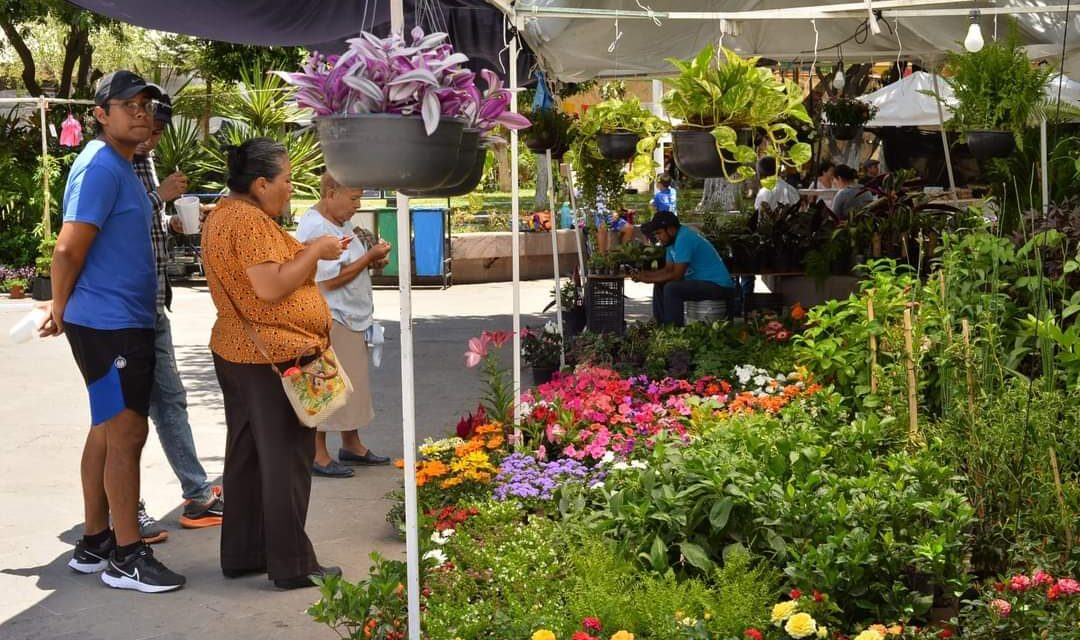 Prepara Soledad su Festival de las Flores 2024: talleres de arte floral y música