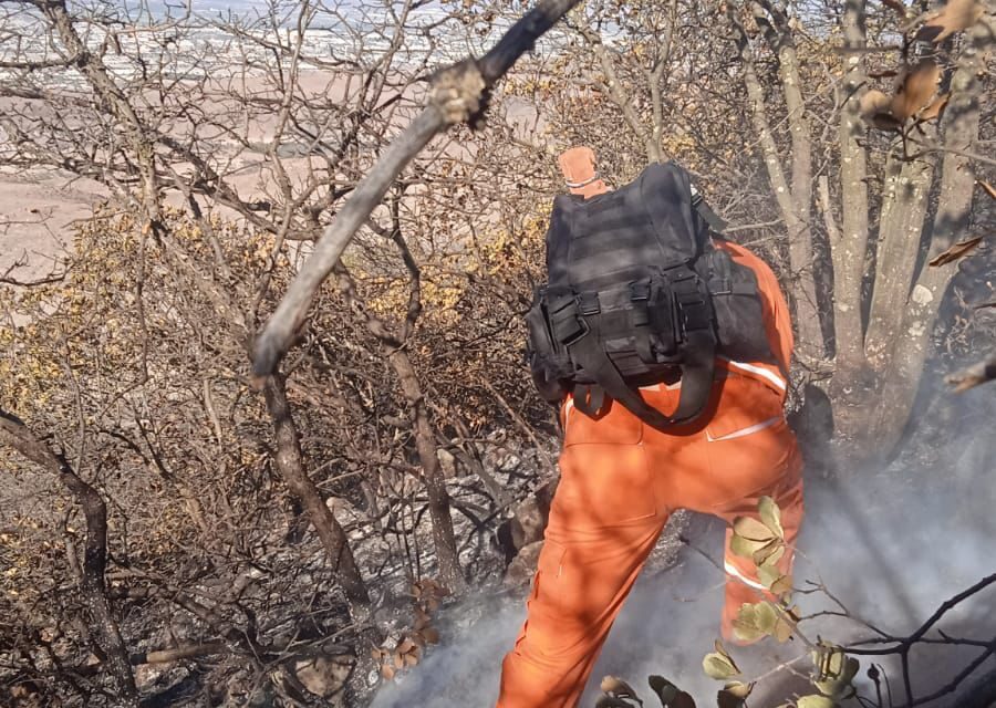 Protección Civil municipal participa activamente en atención a incendios forestales