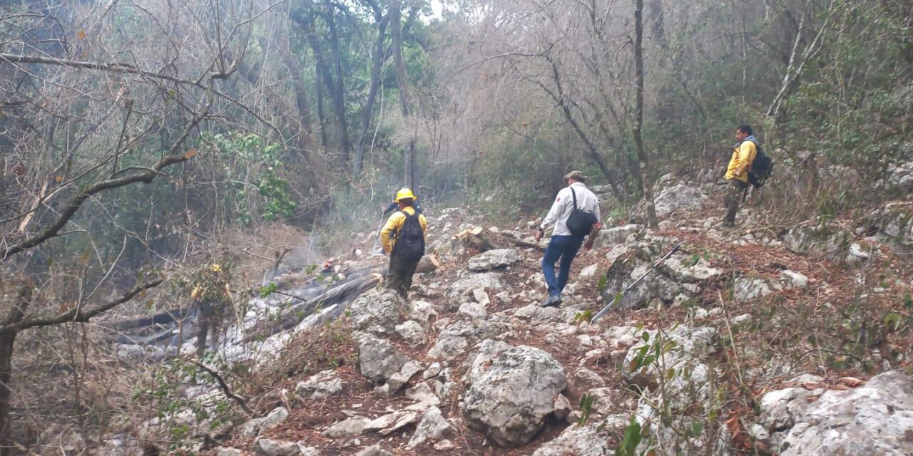 Gobierno estatal controla tres de los incendios forestales activos en SLP