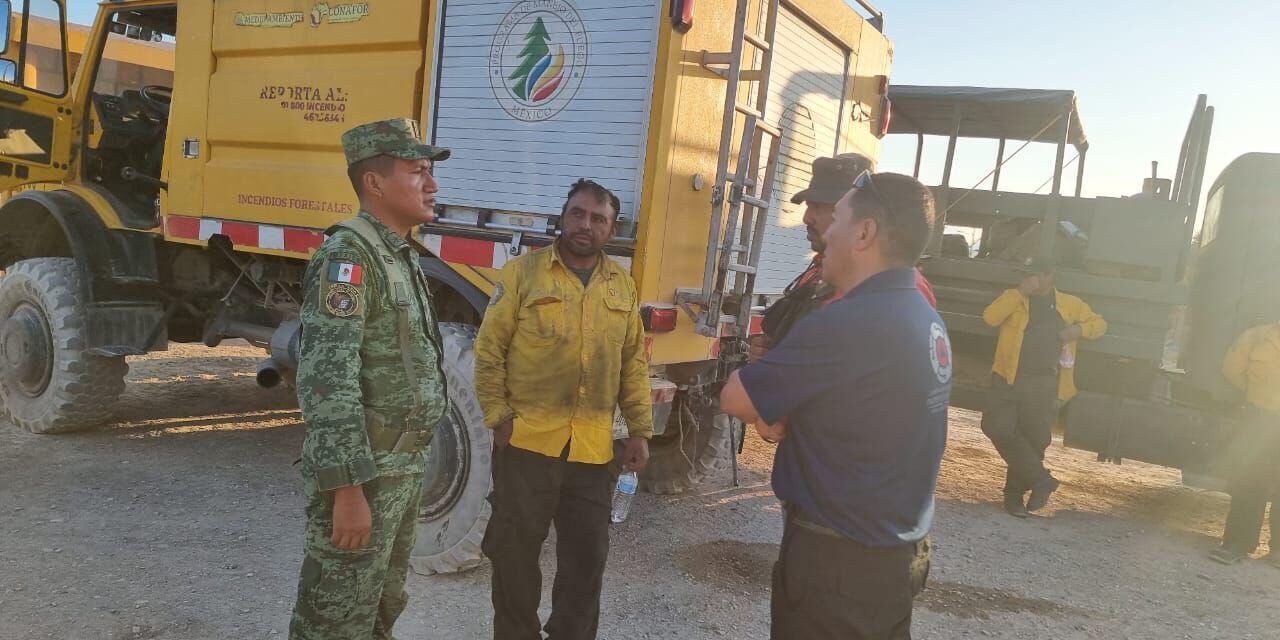 Controlados al cien por ciento incendios forestales en el estado