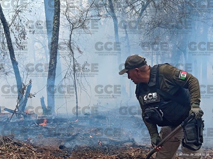 Guardia Civil Estatal se suma a combate de incendios forestales