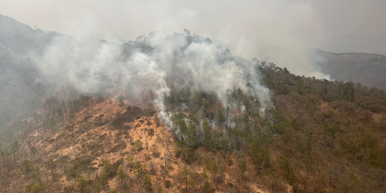 70 por ciento de control incendio forestal de Santa María del Río