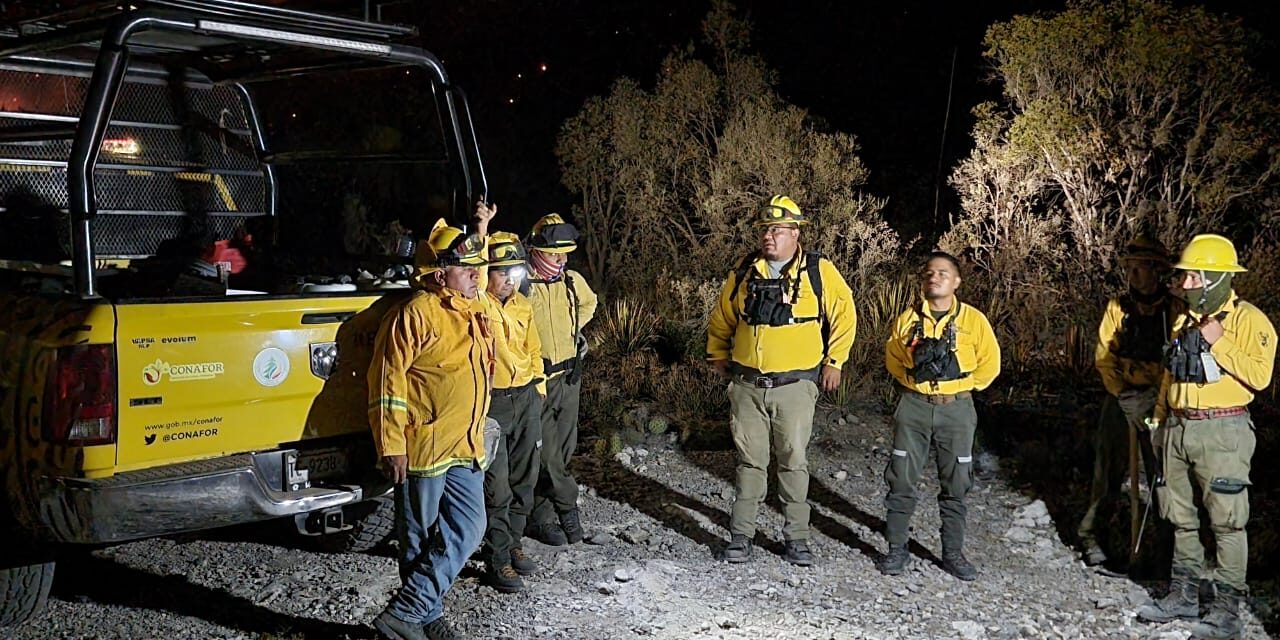 Brigadistas forestales trabajan día y noche en incendio en Matehuala