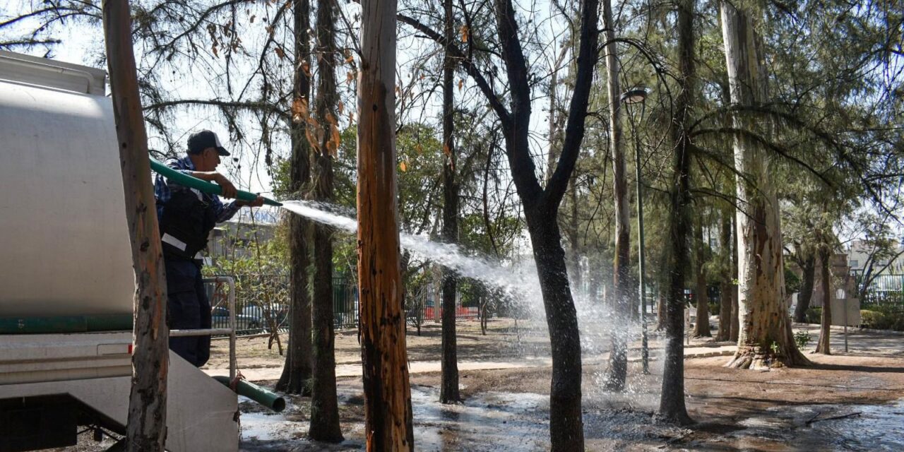 Reforestan jardines del primer cuadro y riegan áreas verdes con agua tratada