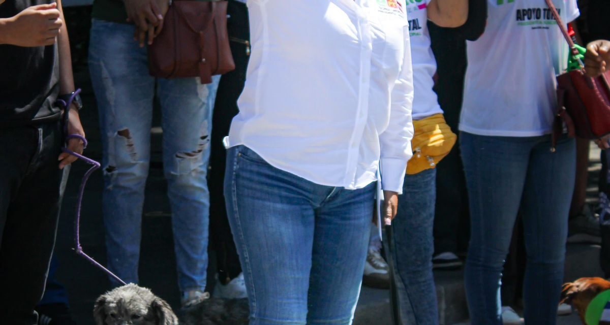 Compromiso firme contra el maltrato animal en San Luis Potosí: Sonia Mendoza
