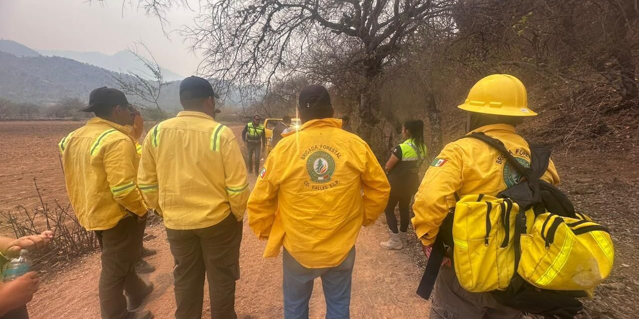 Intensifican labores para combatir incendio forestal en Santa María y Tierra Nueva