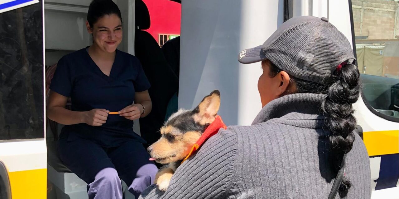 Ambudog en Soledad brinda recomendaciones para el cuidado de mascotas ante altas temperaturas