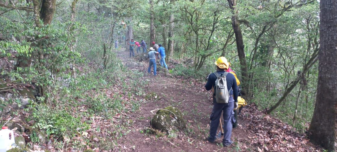 Avanza combate a los incendios forestales en el estado