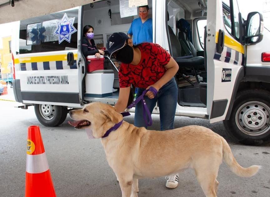 Soledad de GS es ejemplo en acciones para el bienestar animal