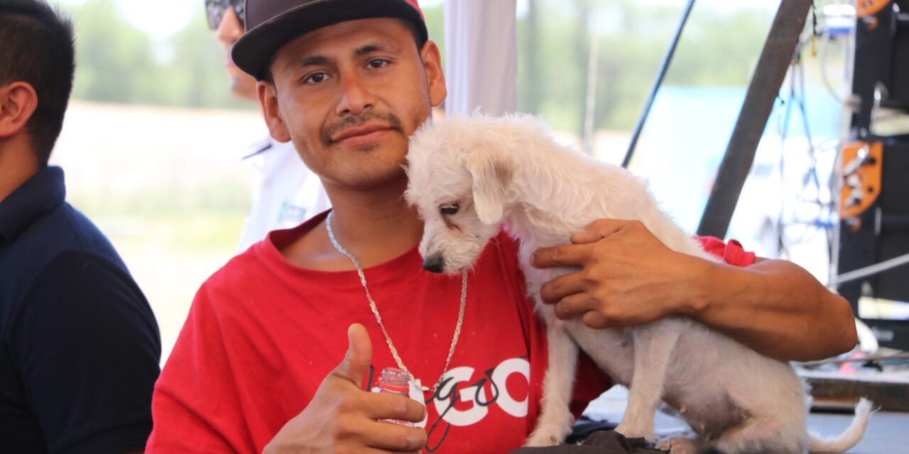 Voluntad soledense e iniciativa estatal hacen posible primer Albergue Animal Gratuito