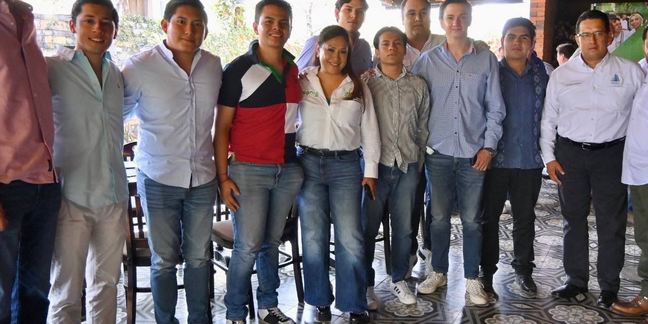 Visión, experiencia y capacidad de gestión con Sonia: Colegio de Ingenieros