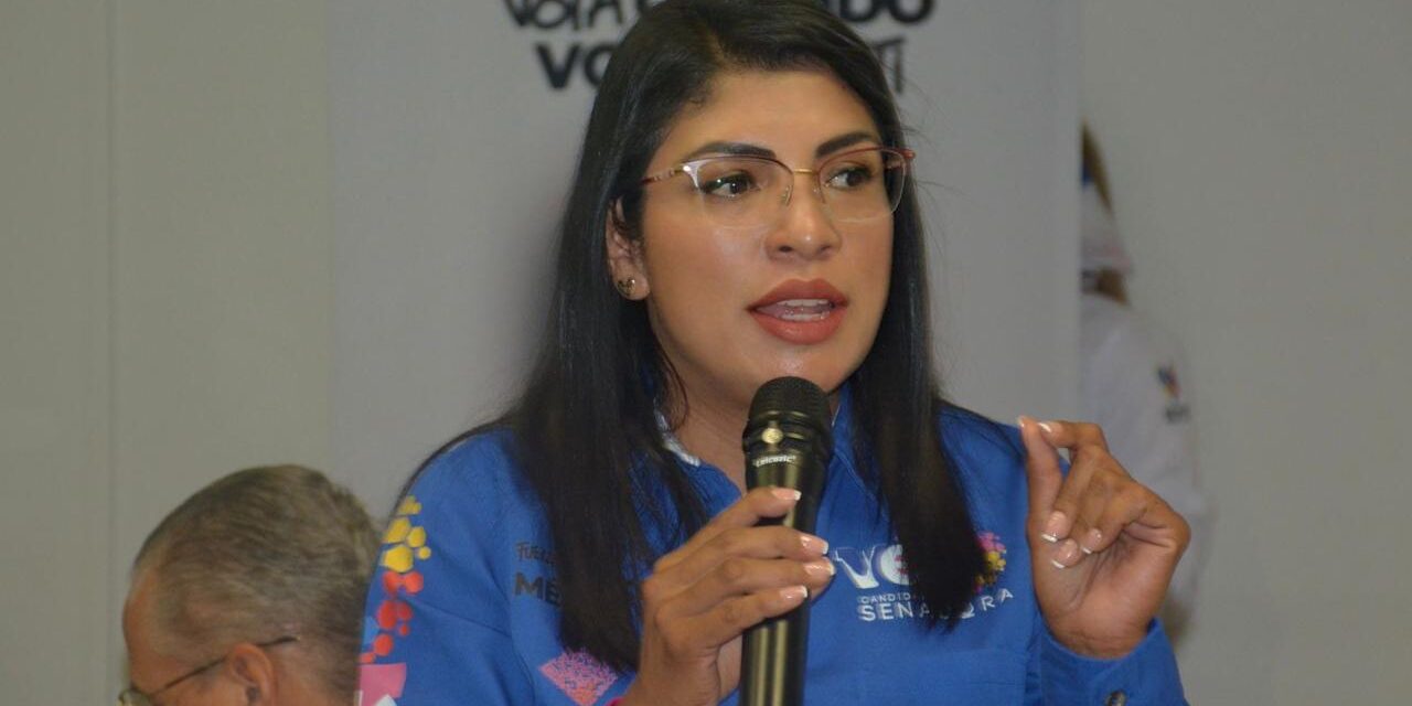 Leyes para fomentar más empleos y mejores pagados: Vero Rodríguez