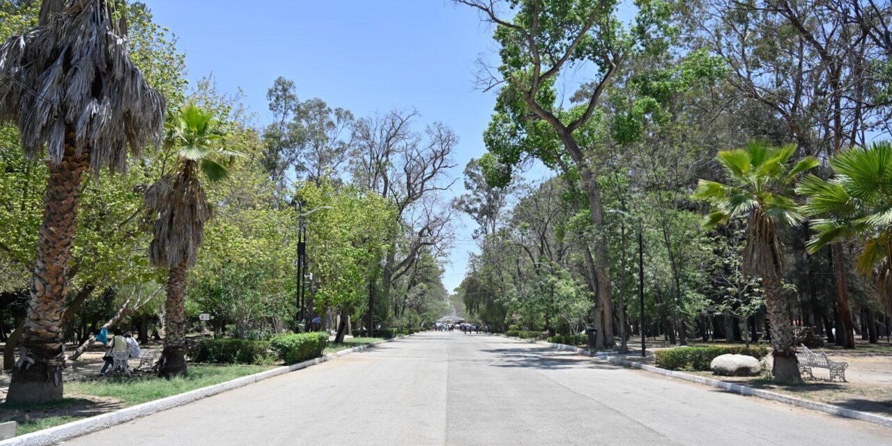 Continuará trabajos de rehabilitación en Parque de Morales