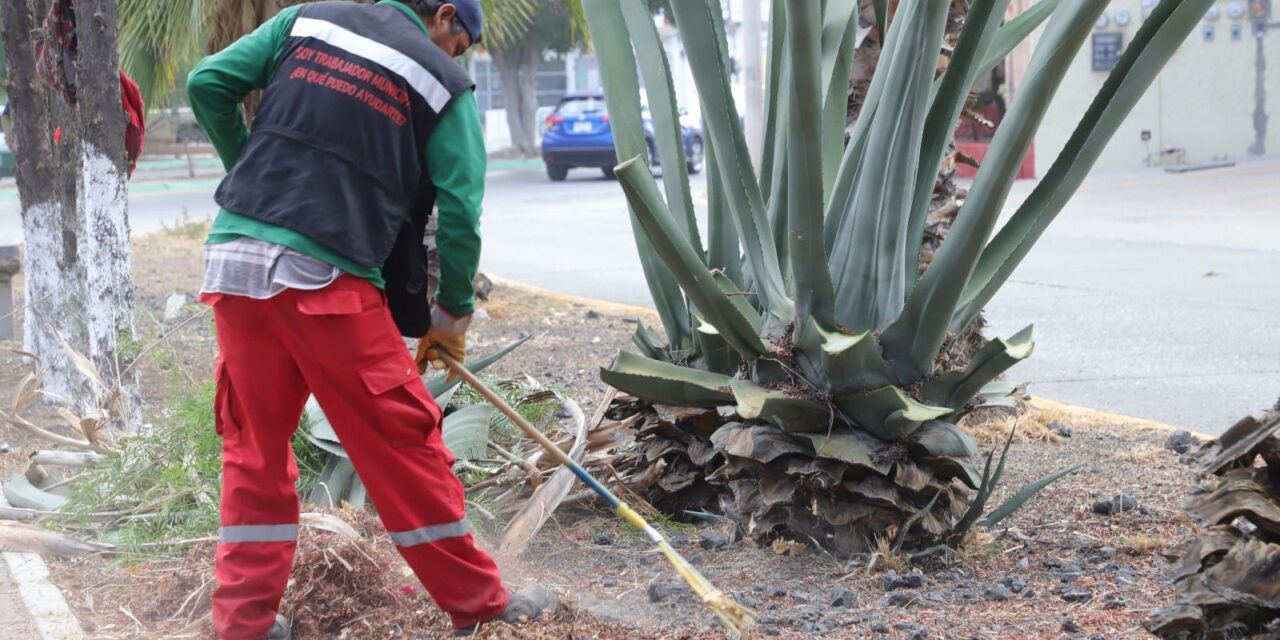 Mejoran espacios públicos del fraccionamiento Tangamanga
