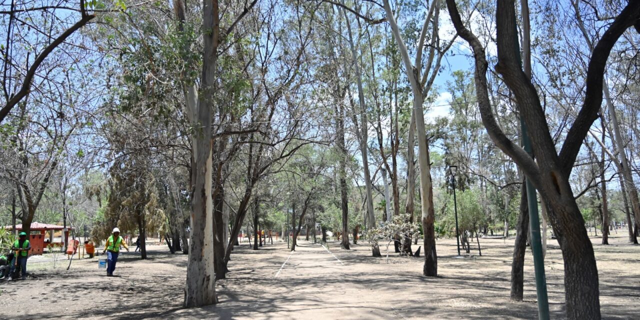 Rescatan Parque de Morales
