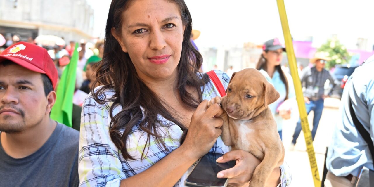 Se garantiza bienestar animal con refugio para mascotas