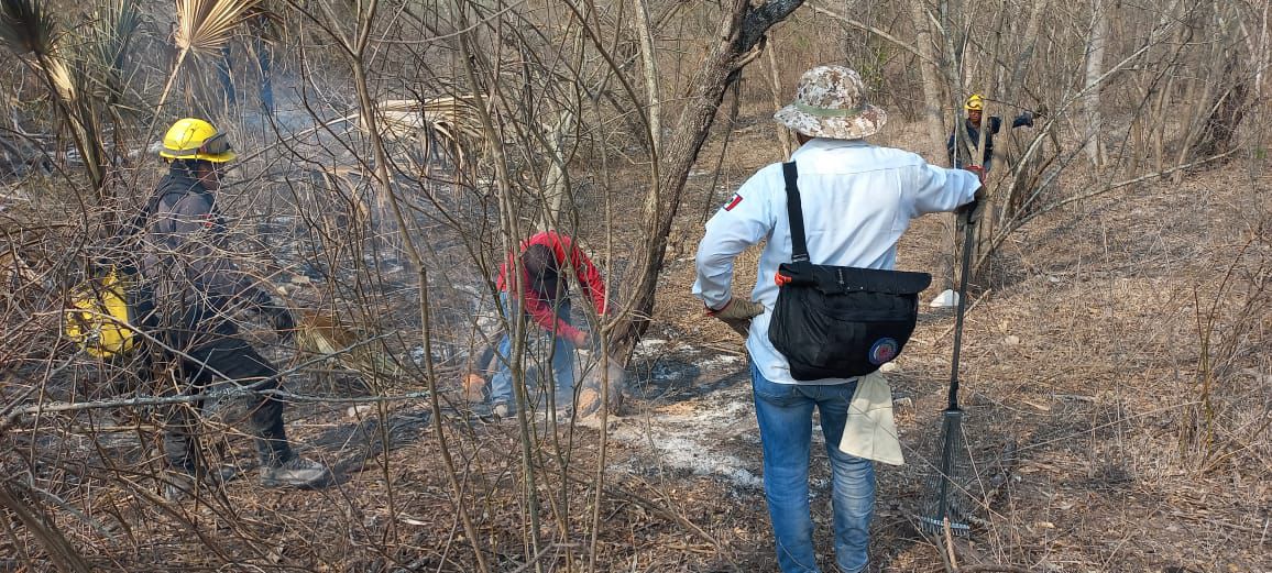 Fortalecen trabajo para sofocar incendios en territorio potosino