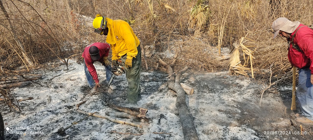 Combaten dos incendios forestales activos en el estado