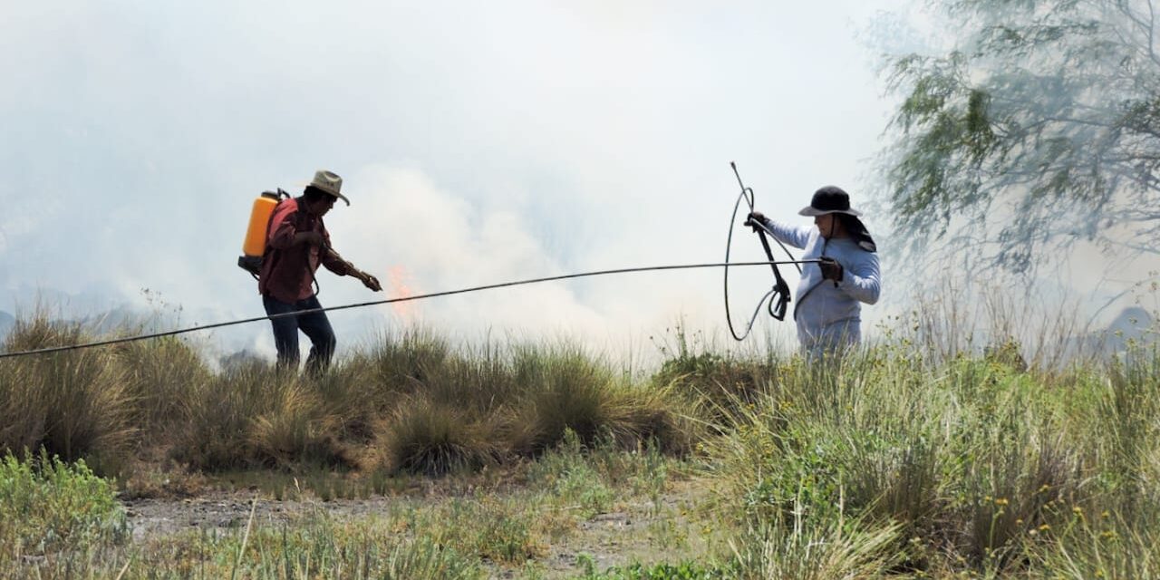 Gobierno estatal mantiene combate a incendios forestales