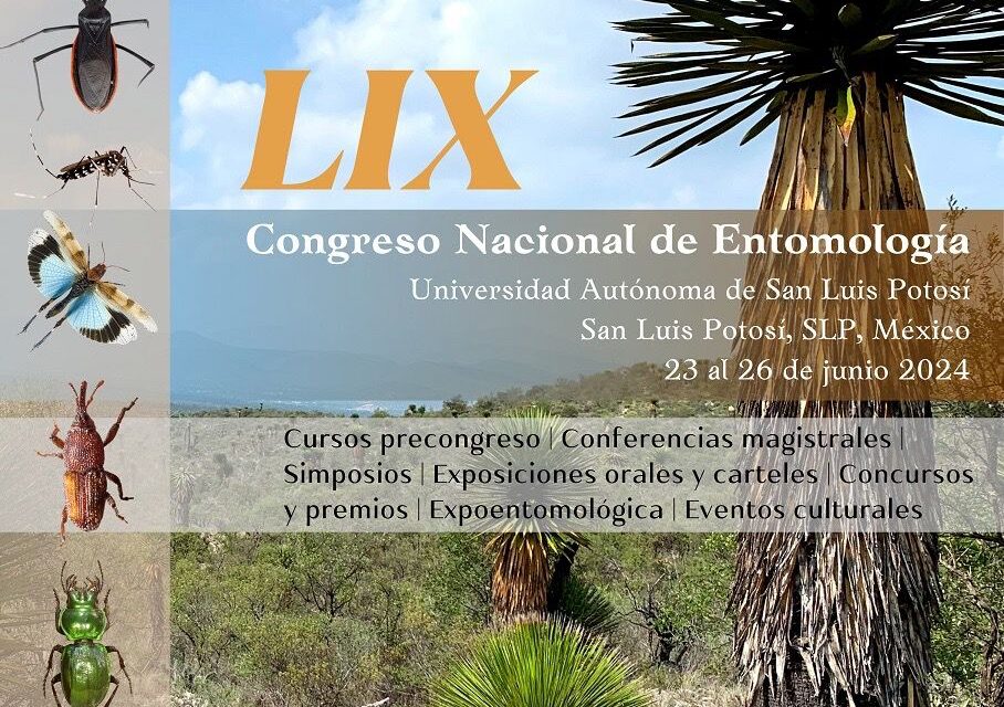 UASLP invita a los cursos de verano 2024 del Departamento de Arte y Cultura