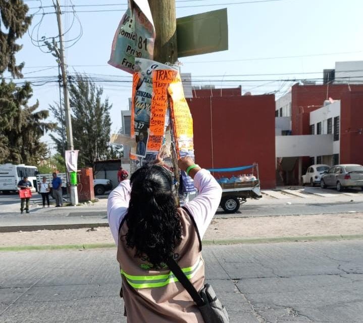 Acciones permanentes para evitar colocación de publicidad no autorizada, en Soledad
